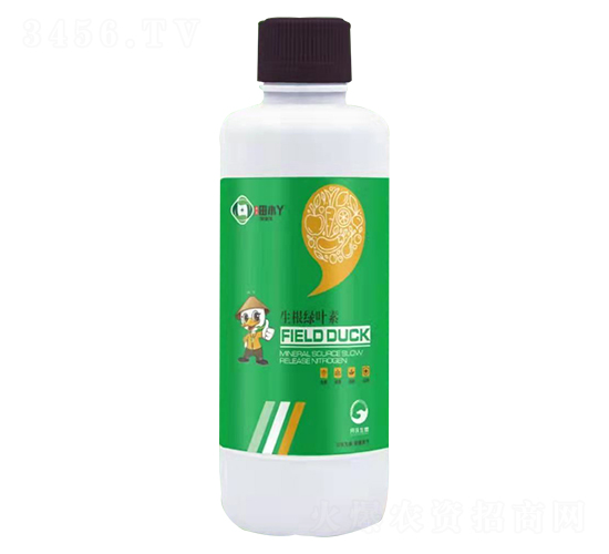 ������Ҷ��-��СѾ-��������