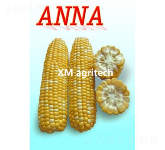 Anna-����������-��ũũҵ