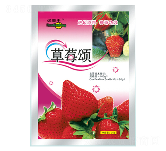 ��ݮ��-�������