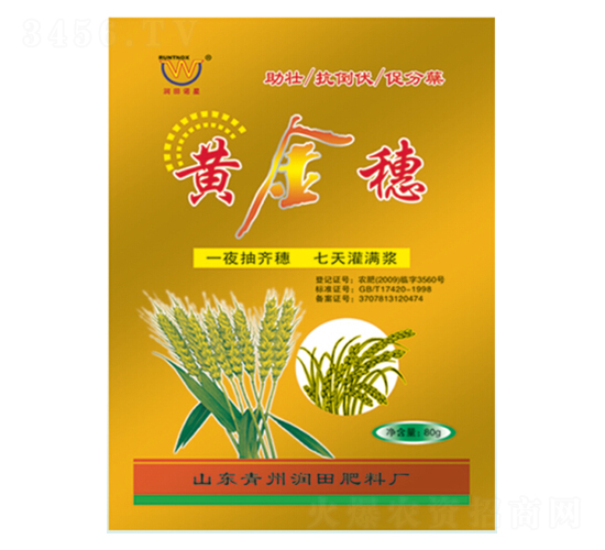 �ƽ���Ҷ���-�������