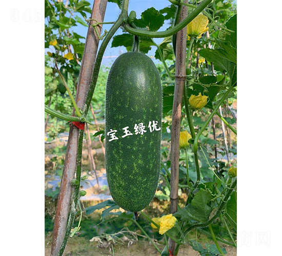 ��������F1-�ڹ�����-��������