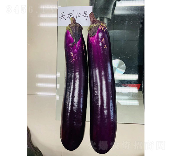 ����10��-��������-��������