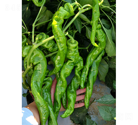 ¤��626-��������-��������