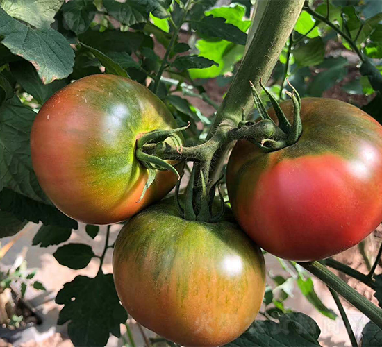 ����12��-��������-��������