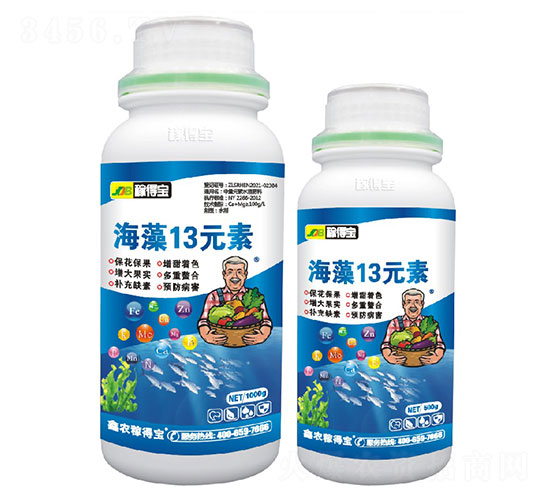 ����13Ԫ��-�ڵñ�