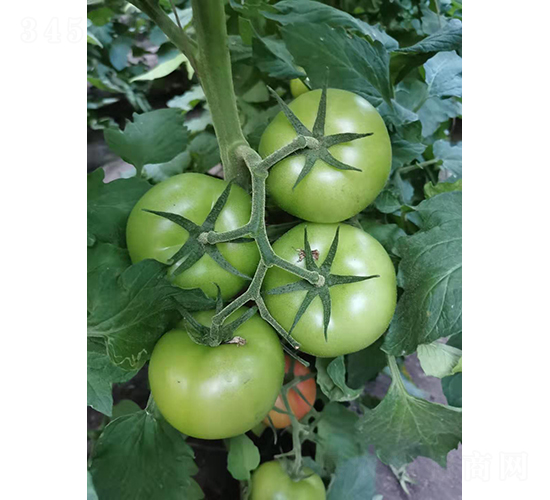 �Ƕ�311-��������-�ѷ���ҵ