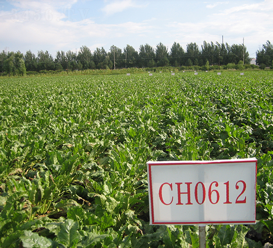 CH0612-�������-�ѷ���ҵ