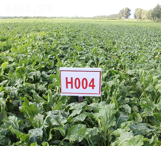 H004-�������-�ѷ���ҵ