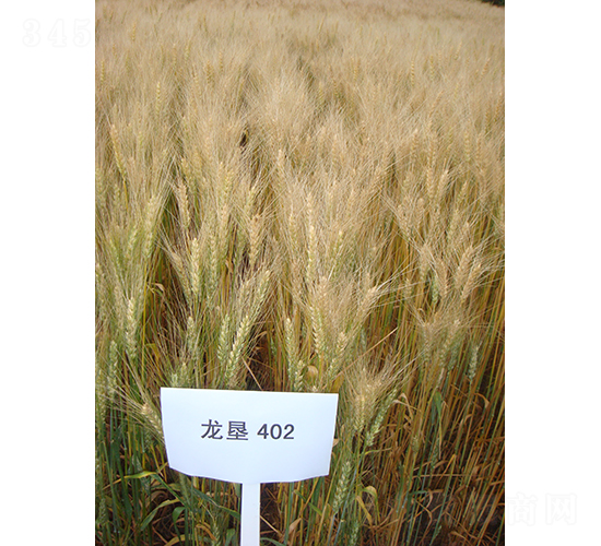 ����402-С������-�ѷ���ҵ