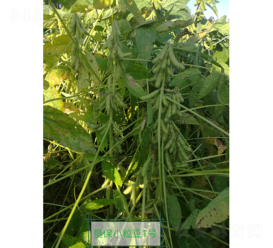 �ѱ�С����1��-������-�ѷ���ҵ