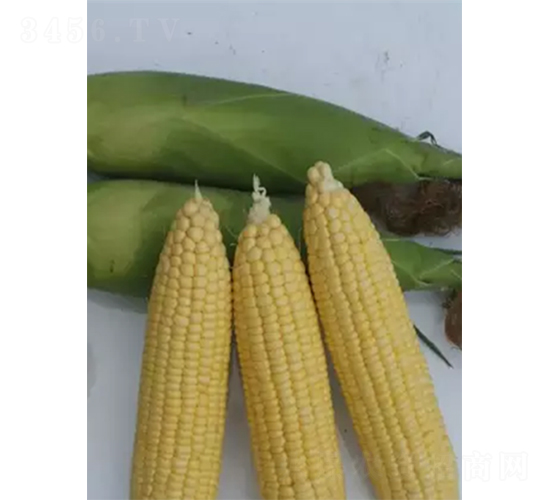 ������818-��������-��������