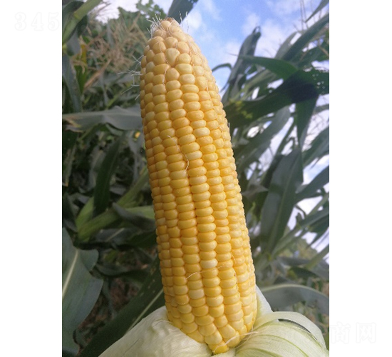 ������814-��������-��������
