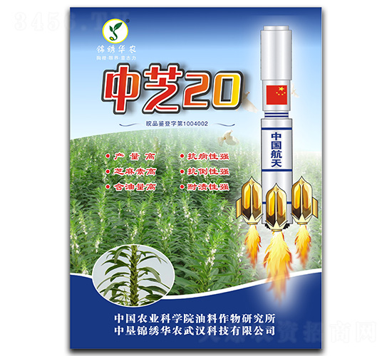 ��֥20-֥������-��ũ��