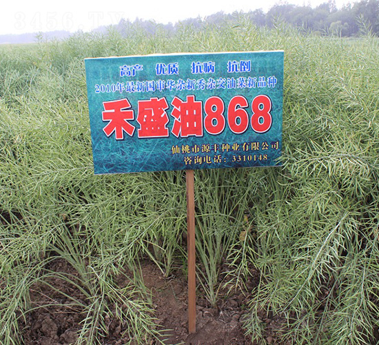��ʢ��868-�Ͳ�����-��ũ��