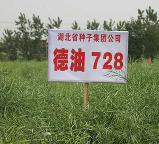 ����728-�Ͳ�����-��ũ��
