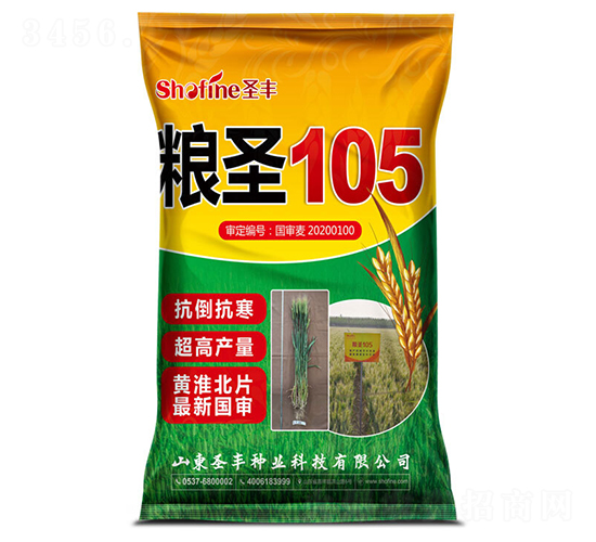 ��ʥ105-С������-ʥ����ҵ