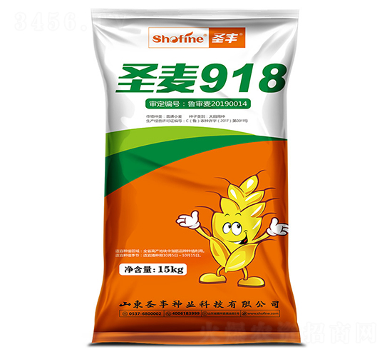 ʥ��918-С������-ʥ����ҵ