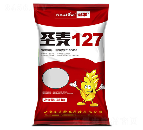 ʥ��127-С������-ʥ����ҵ