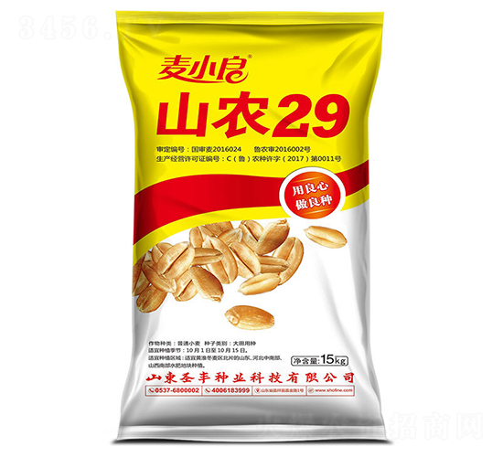 ɽũ29-С������-ʥ����ҵ