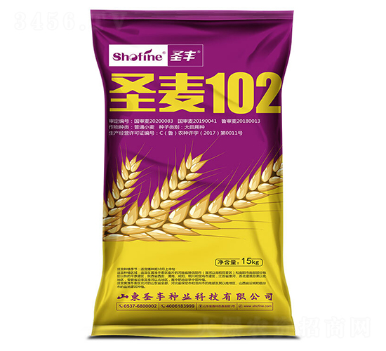 ʥ��102-С������-ʥ����ҵ