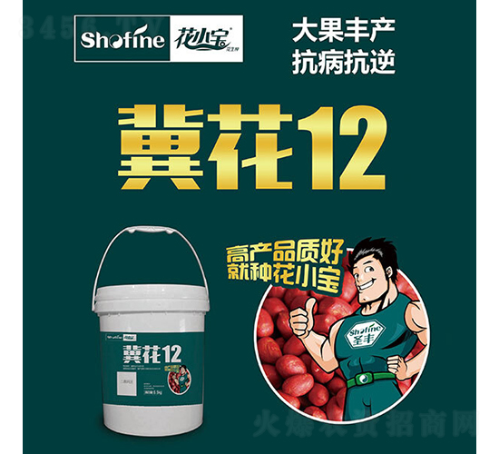 ����12-��������-ʥ����ҵ
