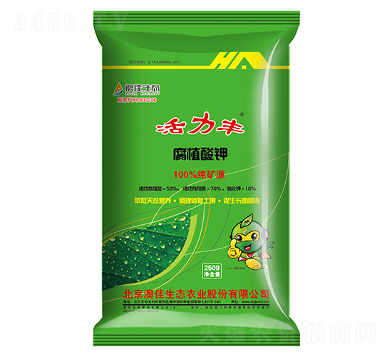 �����ḯֲ���-�ļ���̬