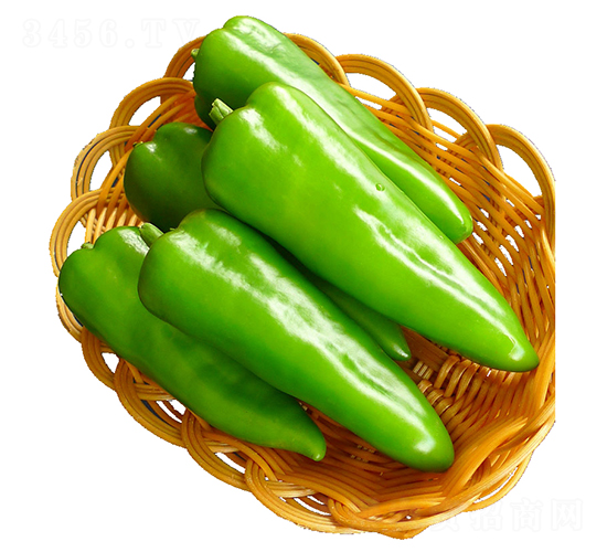 �λ�-������-��������