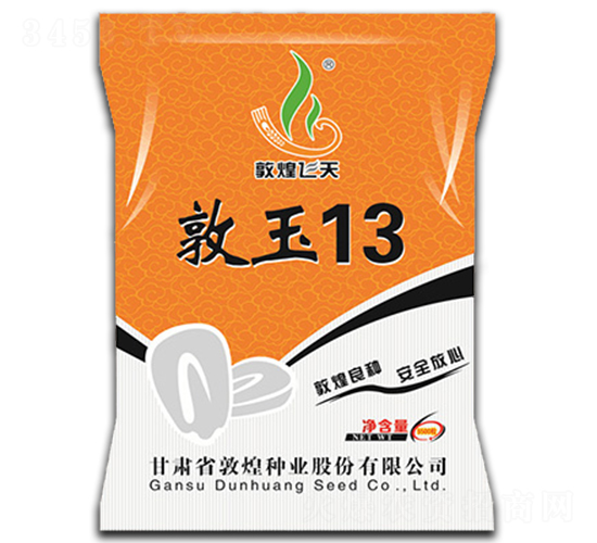 ����13-��������-�ػ���ҵ