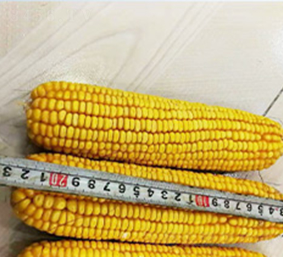 �����122-��������-�����ҵ