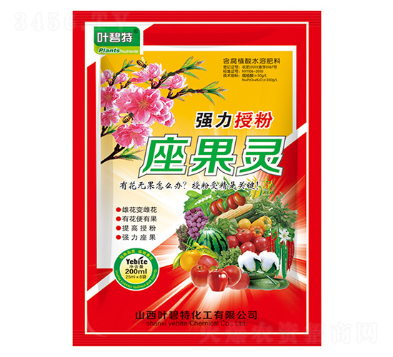 ǿ���ڷ�������-Ҷ����