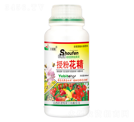 500ml�ڷۻ���-Ҷ����