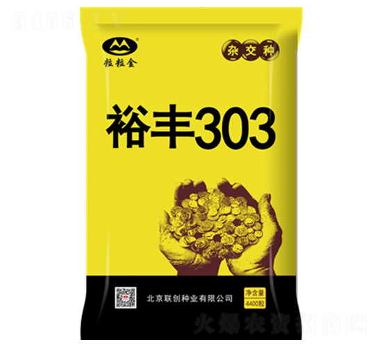 ԣ��303-��������-������ҵ