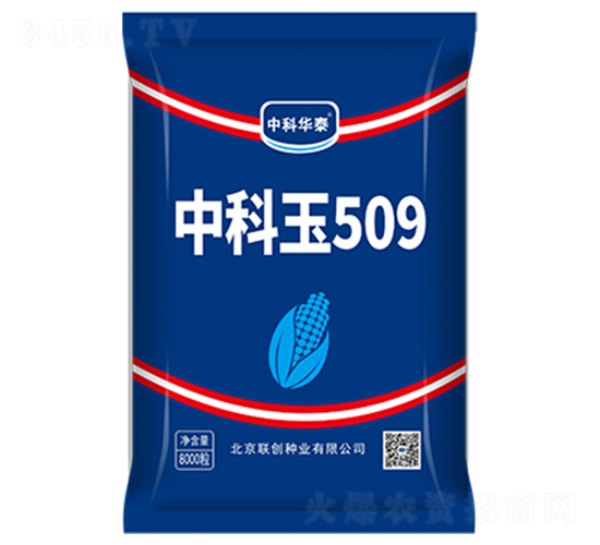 �п���509-��������-������ҵ