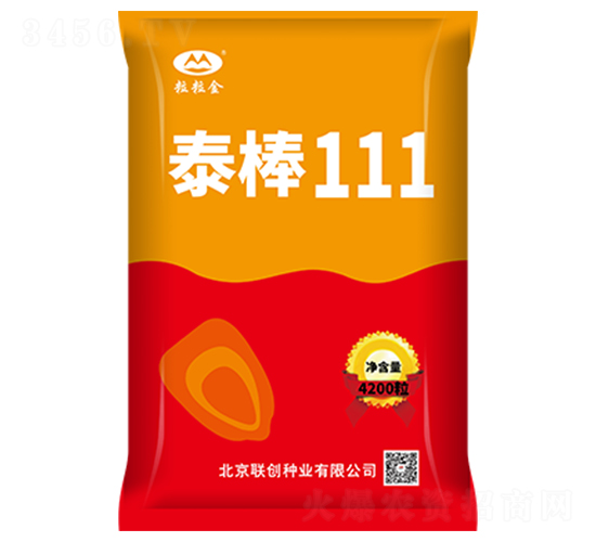 ̩��111-��������-������ҵ