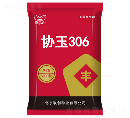 Э��306-��������-������ҵ