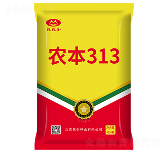 ũ��313-��������-������ҵ