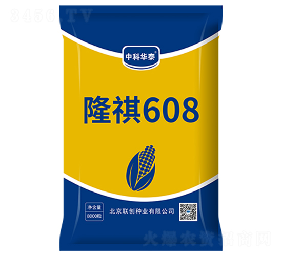 ¡��608-��������-������ҵ