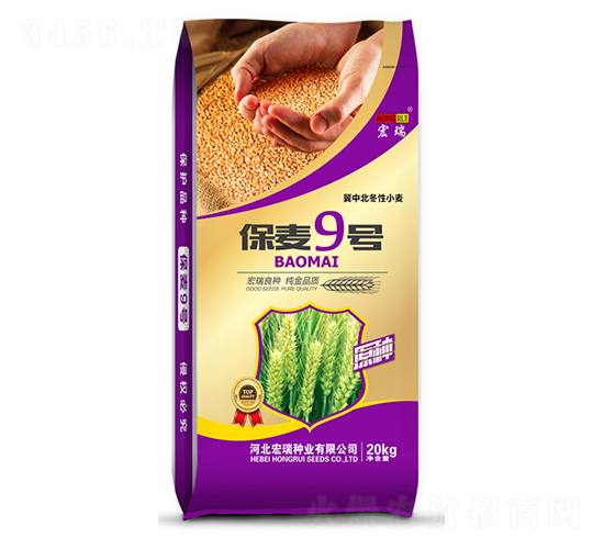 ����9��-С������-������ҵ