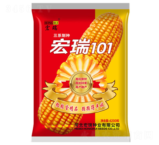 ����101���죩-��������-������ҵ