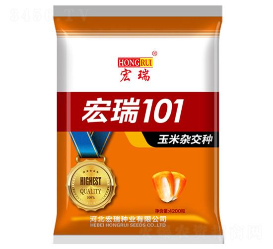 ����101���ȣ�-��������-������ҵ