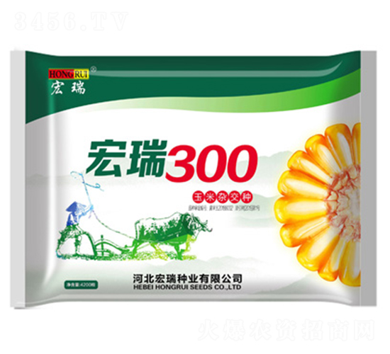 ����300-��������-������ҵ