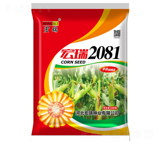 ����2081���죩-��������-������ҵ