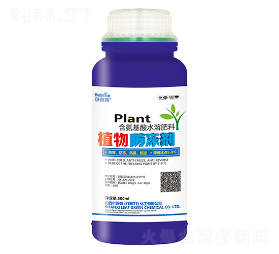 500mlֲ�������-Ҷ����