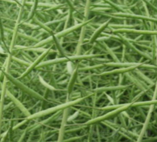 �к���418-�Ͳ�����-������ҵ