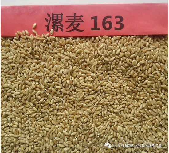 ����163-С������-������ҵ