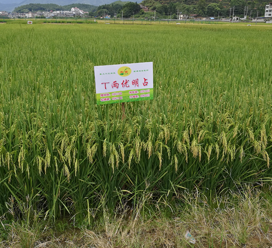 T������ռ-ˮ������-������ҵ