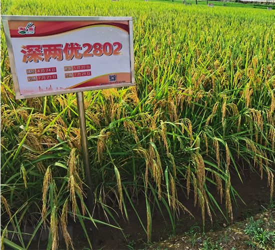 ������2802-ˮ������-������ҵ