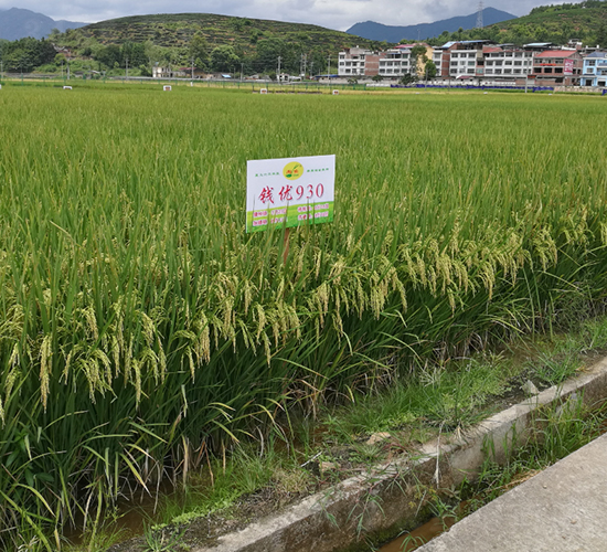 Ǯ��930-ˮ������-������ҵ