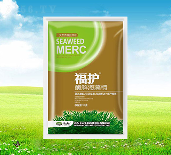 ø�⺣�徫-����-����
