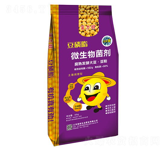 ����֬΢�������-������-�̺���̬